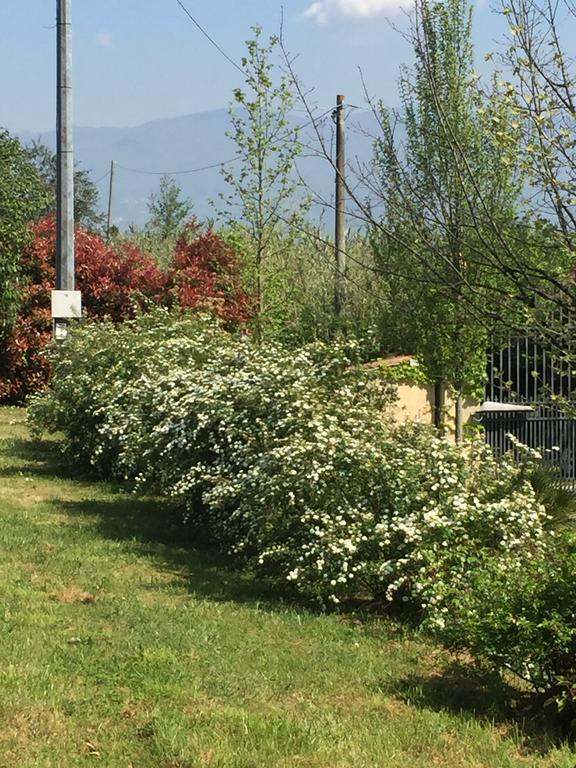 Lago Gabbiano Podere Casanova Πιστόια Εξωτερικό φωτογραφία