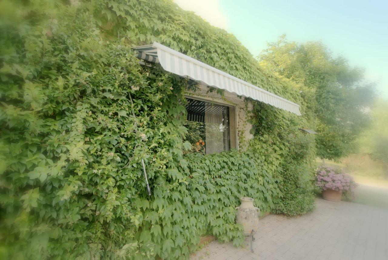 Lago Gabbiano Podere Casanova Πιστόια Εξωτερικό φωτογραφία